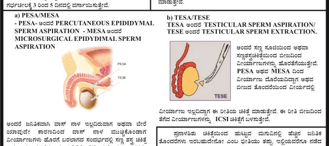 01 Introduction to IVF