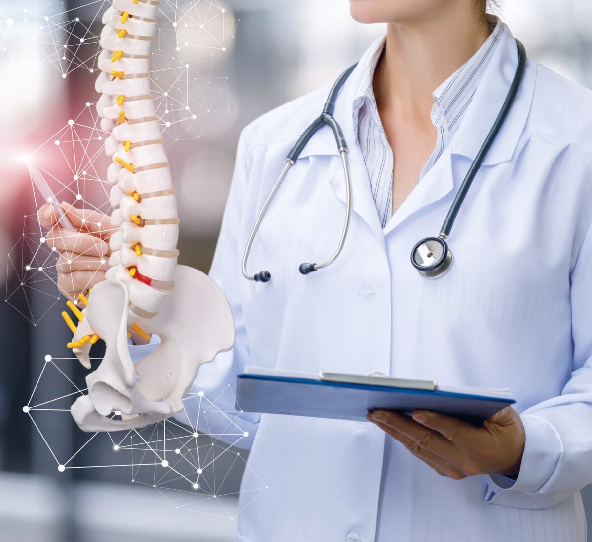 A medical worker shows the spine on blurred background.